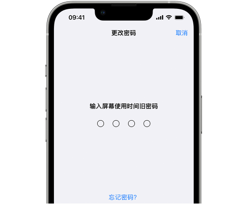 舒城iPhone屏幕维修分享iPhone屏幕使用时间密码忘记了怎么办 