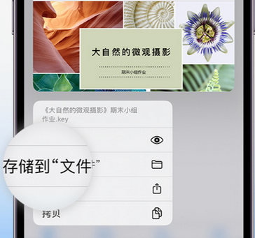 舒城apple维修中心分享iPhone文件应用中存储和找到下载文件