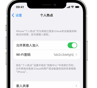 舒城apple服务站点分享iPhone上个人热点丢失了怎么办 