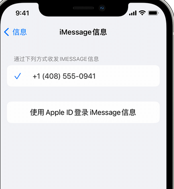 舒城apple维修iPhone上无法正常发送iMessage信息 