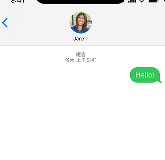 舒城apple维修iPhone上无法正常发送iMessage信息