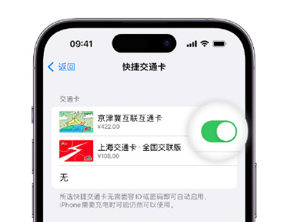 舒城apple维修点分享iPhone上更换Apple Pay快捷交通卡手绘卡面 