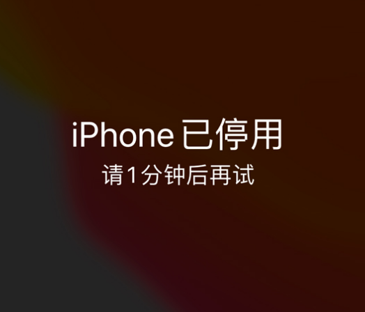 舒城苹果手机维修分享:iPhone 显示“不可用”或“已停用”怎么办？还能保留数据吗？ 