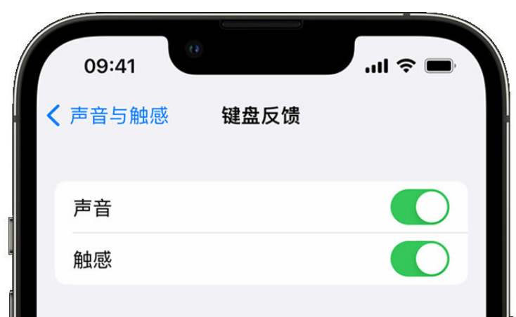 舒城苹果手机维修分享iPhone 14触感键盘使用方法 