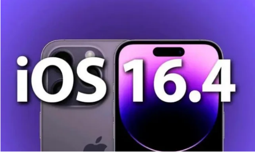 舒城苹果14维修分享：iPhone14可以升级iOS16.4beta2吗？ 