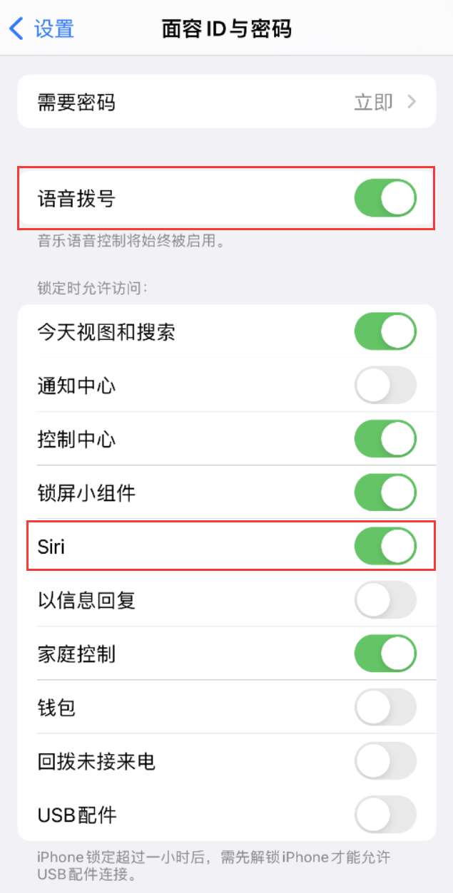 舒城苹果维修网点分享不解锁 iPhone 的情况下通过 Siri 拨打电话的方法 