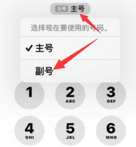 舒城苹果14维修店分享iPhone 14 Pro Max使用副卡打电话的方法 