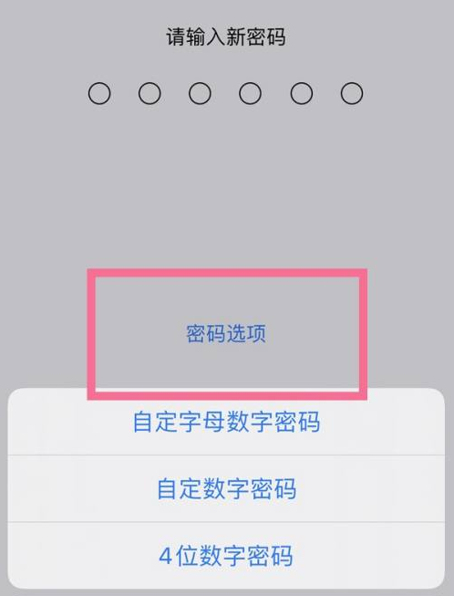 舒城苹果14维修分享iPhone 14plus设置密码的方法 