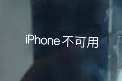 舒城苹果服务网点分享锁屏界面显示“iPhone 不可用”如何解决 