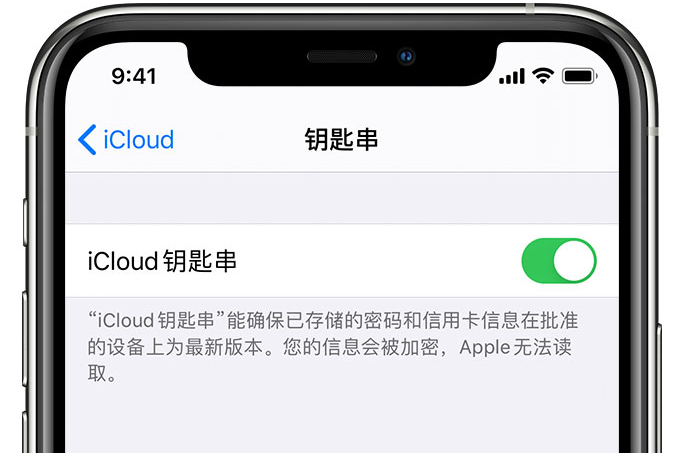 舒城苹果手机维修分享在 iPhone 上开启 iCloud 钥匙串之后会储存哪些信息 