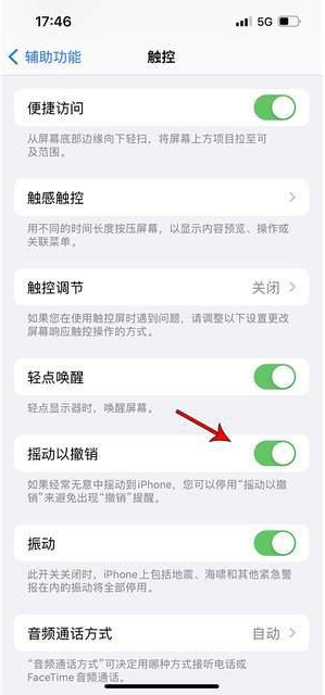 舒城苹果手机维修分享iPhone手机如何设置摇一摇删除文字 