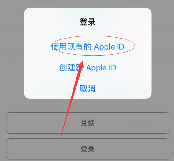 舒城苹果手机维修分享两台iPhone设备可以同时登录一个Apple ID吗 