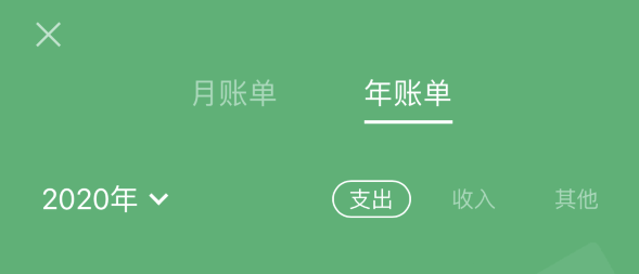 舒城苹果手机维修分享如何在 iPhone 上查看支付宝和微信年支出账单 