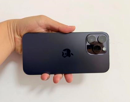 舒城苹果维修点分享iPhone 14 Pro Max发烫多重诱因剖析 